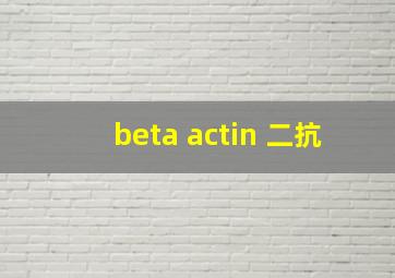 beta actin 二抗